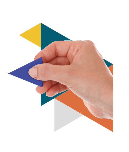 BlackFox solution